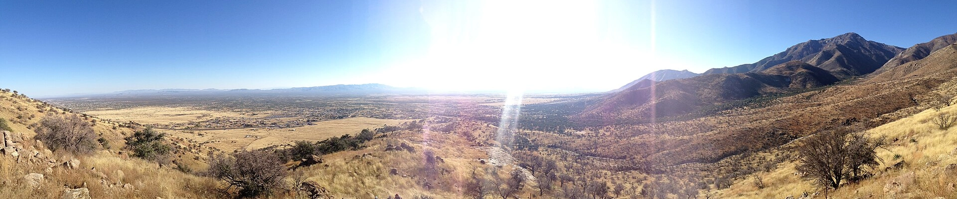 Local pros in Hereford, AZ
