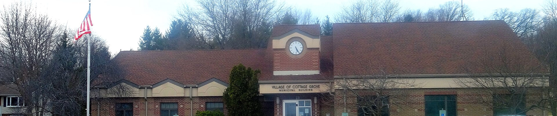 Local pros in Cottage Grove, WI