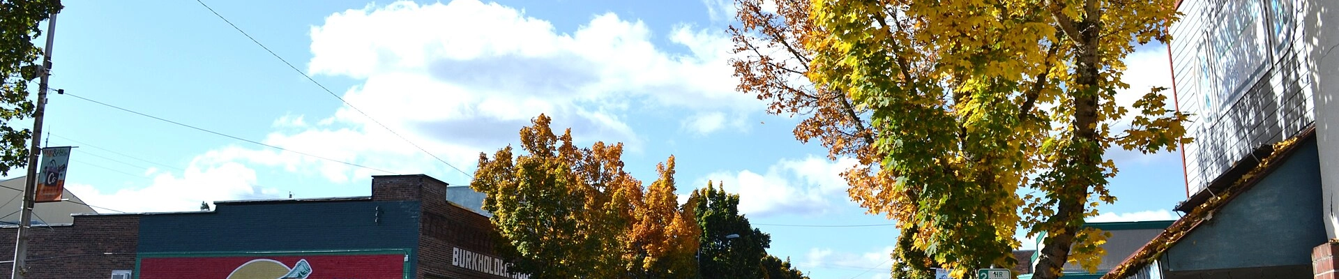 Electrical in Cottage Grove, OR