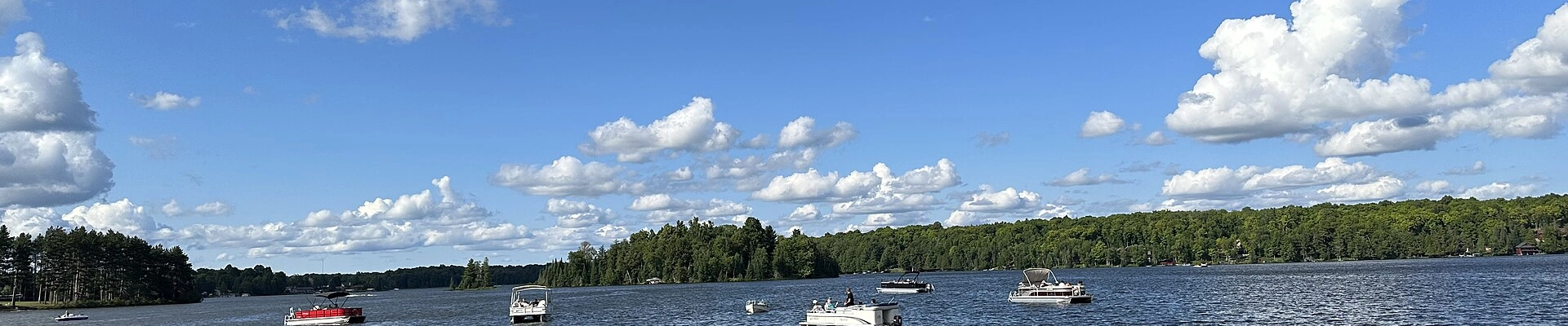 Local pros in Land O' Lakes, WI