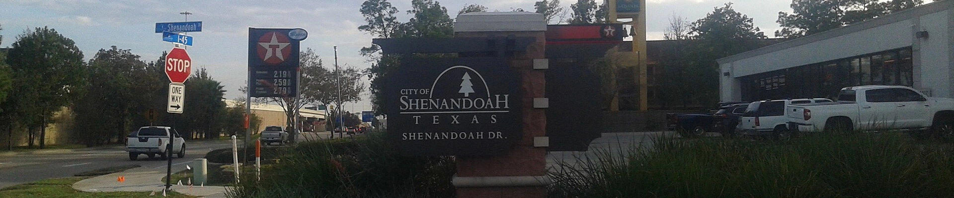 Plumbing and Tree in Shenandoah