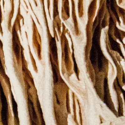 &