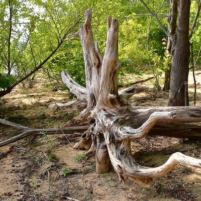 &