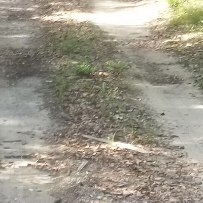 &