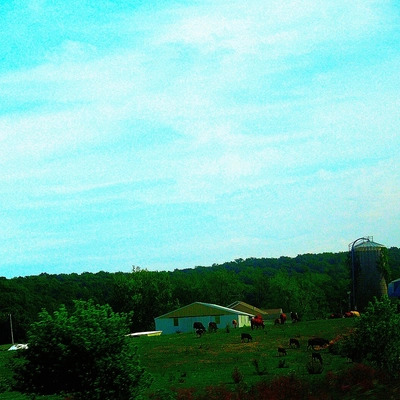 &