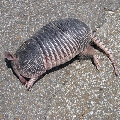 &