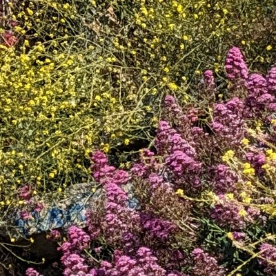 &